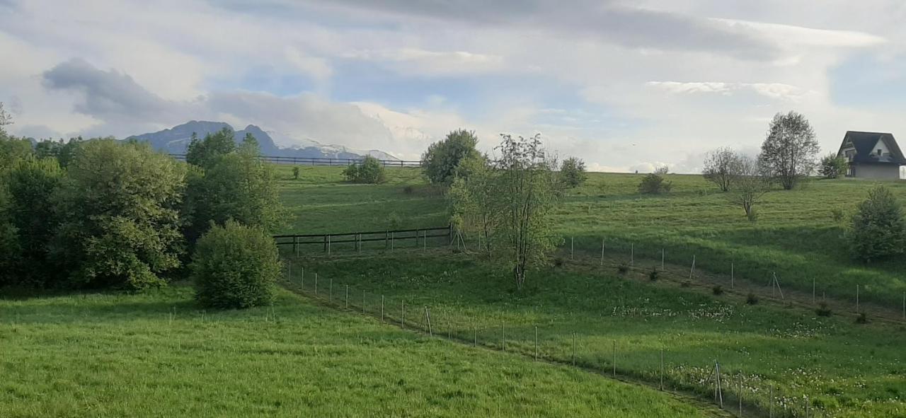 Pokoje Goscinne Przeklasa Pawel زاكوباني المظهر الخارجي الصورة